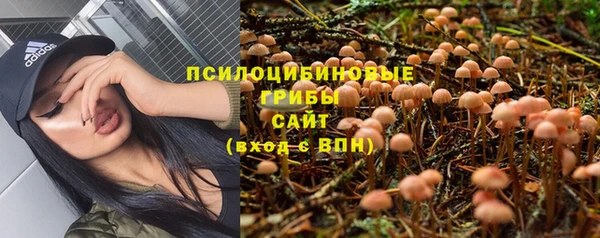 соль курить ск Аркадак