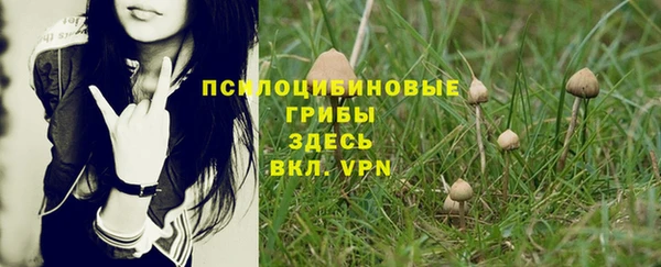 крисы Армянск