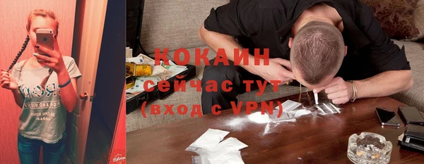 крисы Армянск
