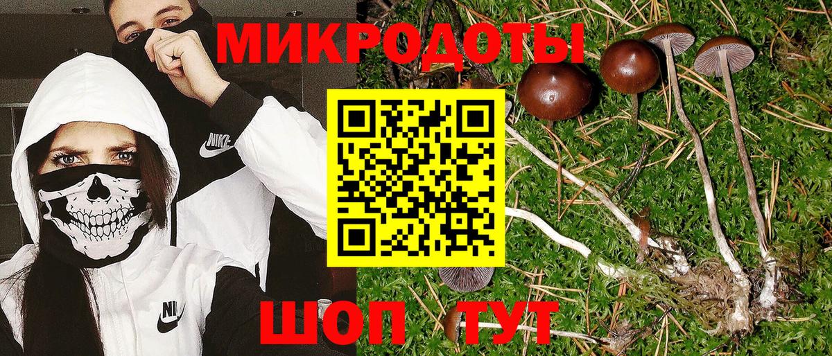 Псилоцибиновые грибы прущие грибы Коломна