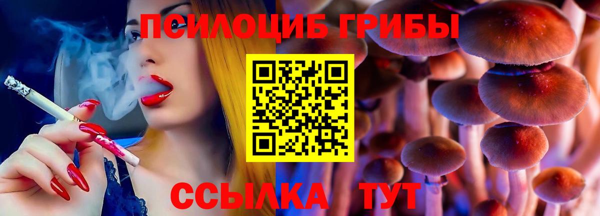 Галлюциногенные грибы прущие грибы  Вход с VPN  Псилоцибиновые грибы Magic Shrooms  Коломна 